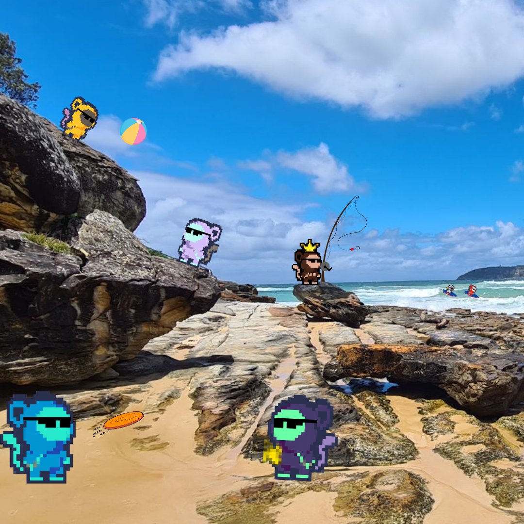 rainbow_trex11's tweet photo. 🎶 MONKEES from a land downunder 🎶

(Shromee could be teaching Space MONKEE a thing or 2 about surfing)

@XMONKEEMONKEE @XMetals1 @dailyfighter6 @ramssonsagrav @GastonVVV @Veyrius @WingChunLady @yyolk 

#XUMM #XummCommunity  #nftcollectors #XRPLcommunity #XRPLedger #XRPLToken https://t.co/FhaD9PG412