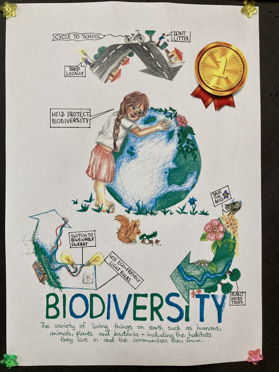ka_munnelly's tweet photo. So proud of our talented students @stnathyscollege @roscommoncoco who displayed a wonderfully innovate range of artistic talent to promote awareness of the importance of #biodiversity as we work towards our next @GreenSchoolsIre flag 👏 https://t.co/6nchDUheNm