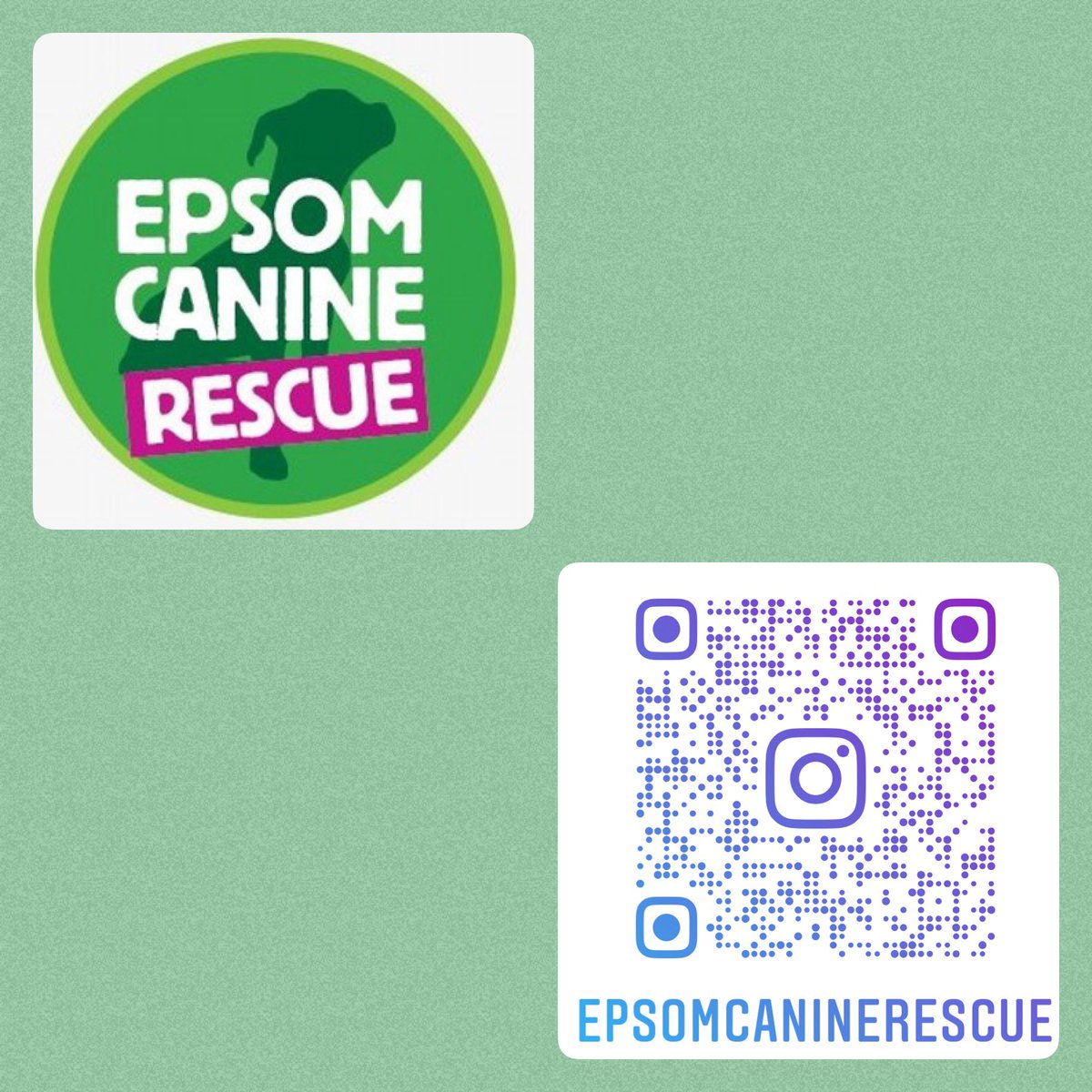 Hello friends, please give us a follow on our instagram page. 

use the link below or our QR code 🐶 instagram.com/epsomcanineres…