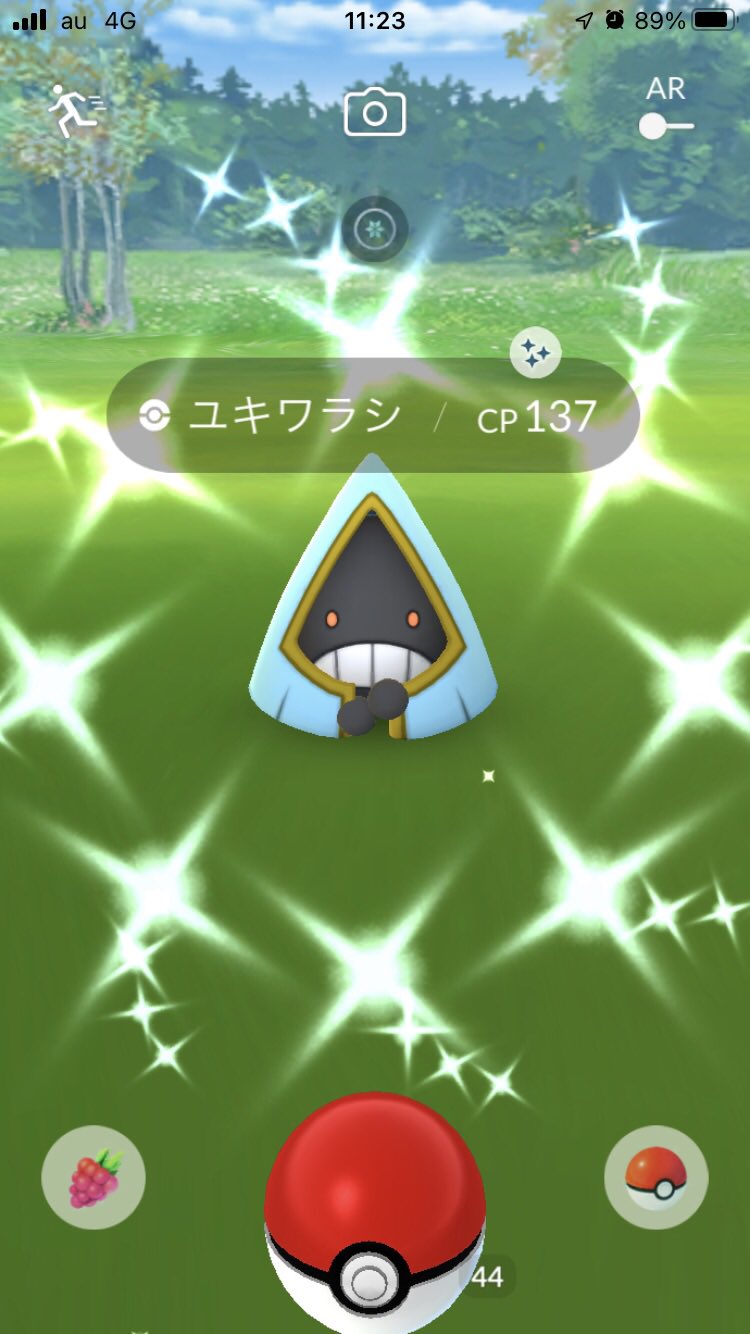Sachichi ﾟ ﾟ 久しぶり ᴗ ポケモンgo ユキワラシ T Co Cxz3bhmqfu Twitter