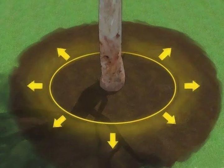 الاحتياج السمادي للنبات ؟ مواصفات السماد البلدي الجيد وهل يصلح طوال العام ؟
هي كمية العناصر الغذائية...