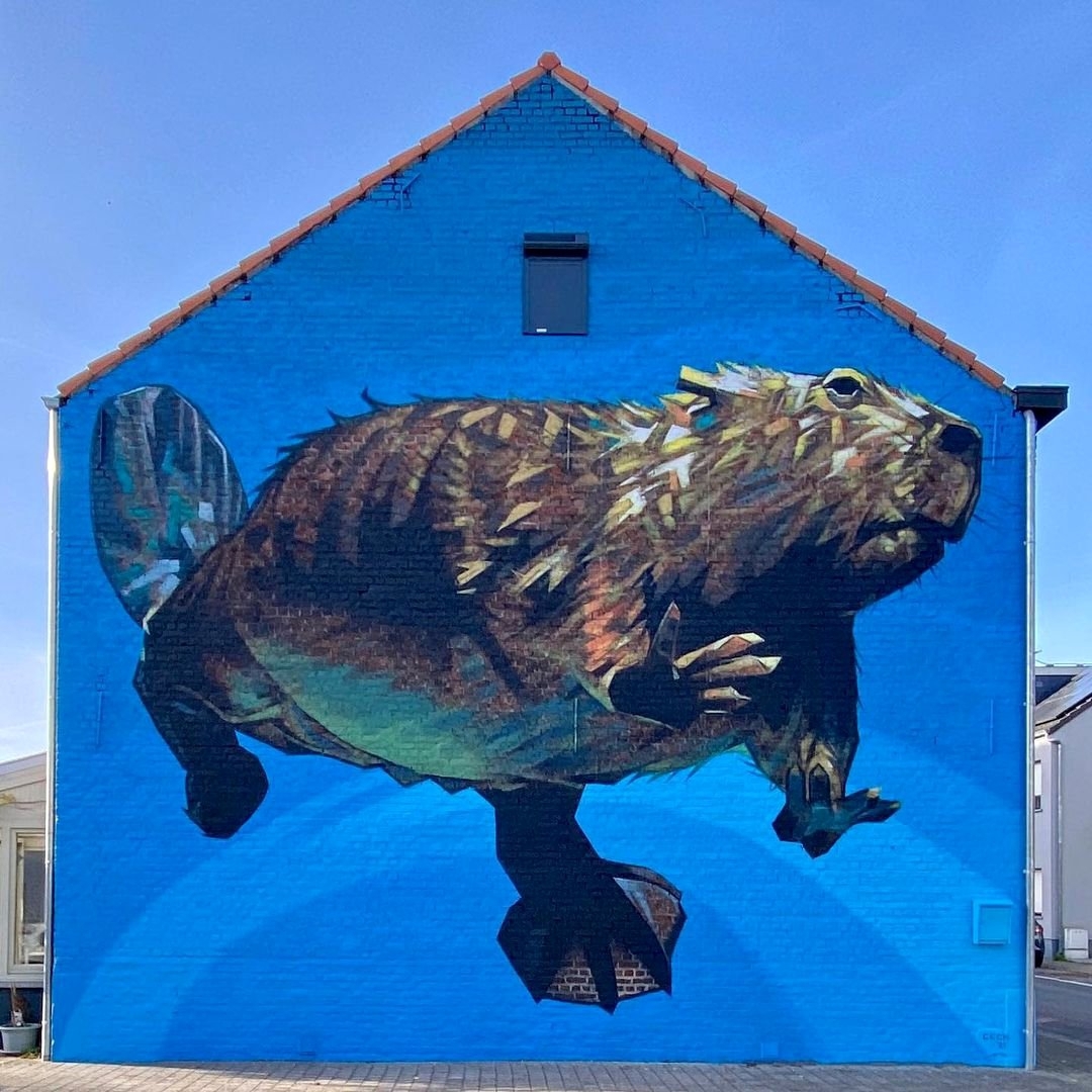 brababella's tweet photo. #Streetart by #TomCech in #Leuven, Belgium
More info at: https://t.co/eWvpMnkEJQ #arteurbana #urbanart #murals #muralism #contemporaryart #artecontemporanea https://t.co/Q5wsd6uCOP