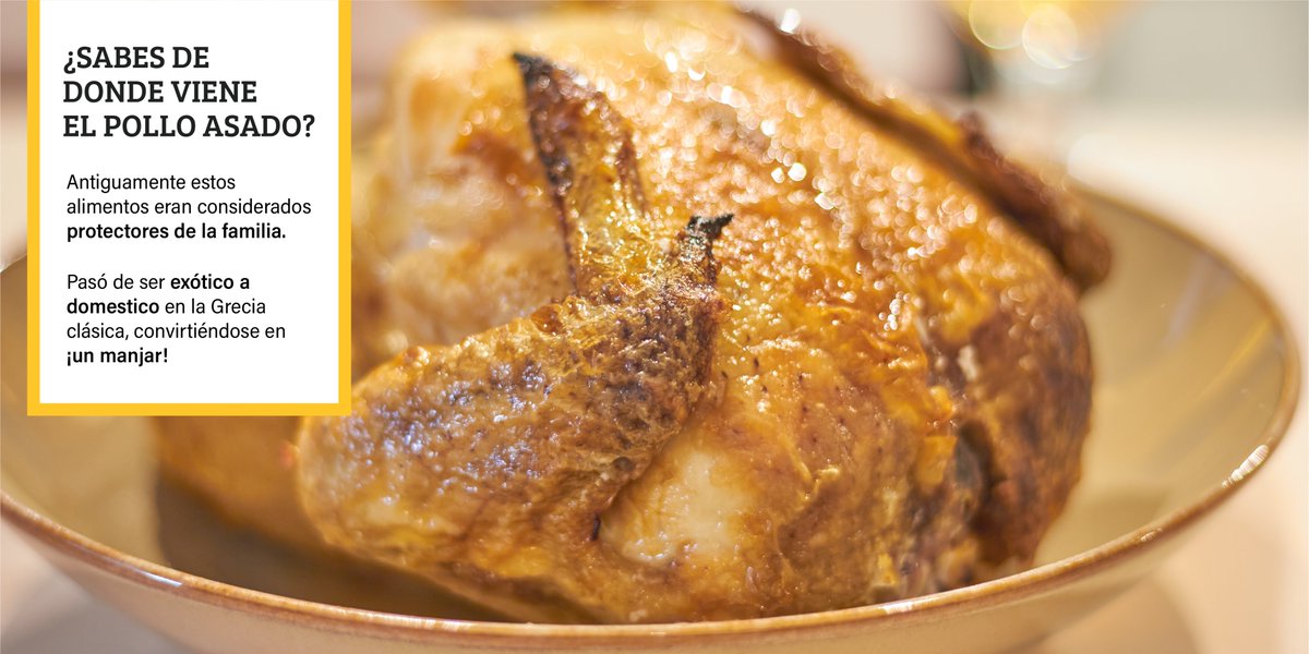 lospollechea's tweet photo. ¿Sabes de donde viene el pollo asado? 🍗 https://t.co/i8fsSTbvCb