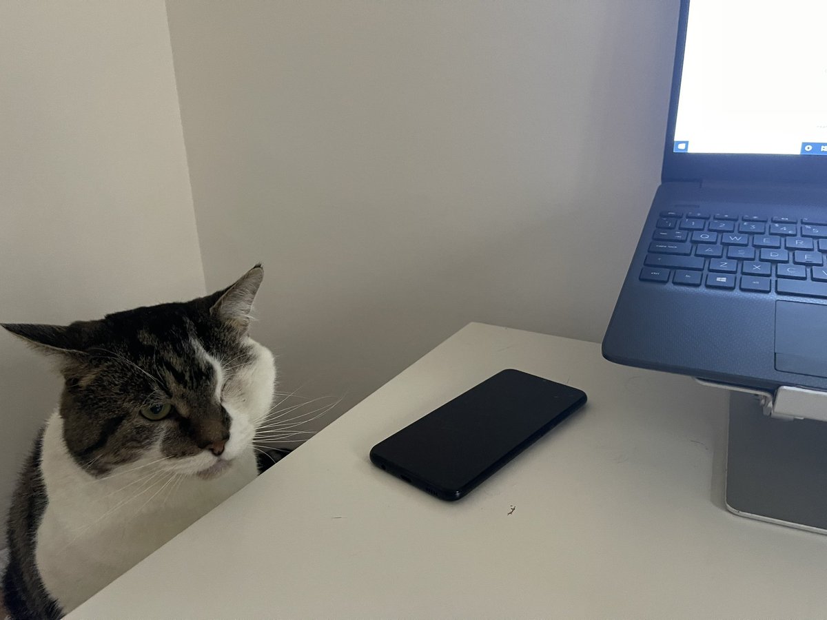 David Ritchie tweet media