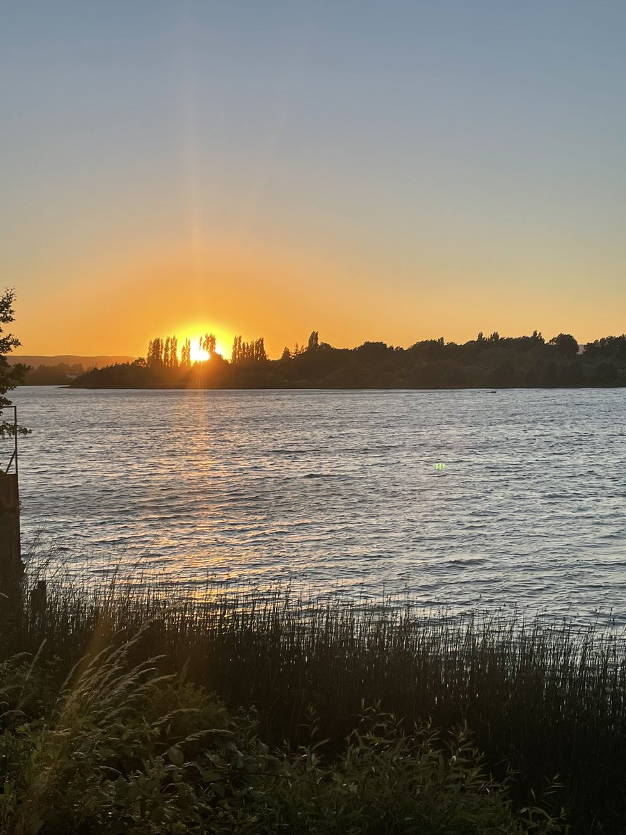 victorQ17's tweet photo. Esta foto la tome el día de ayer en la rivera del Río Calle Calle en el hermoso #collico en #Valdiviacl, postales que enamoran! https://t.co/RKPNUv0U4j