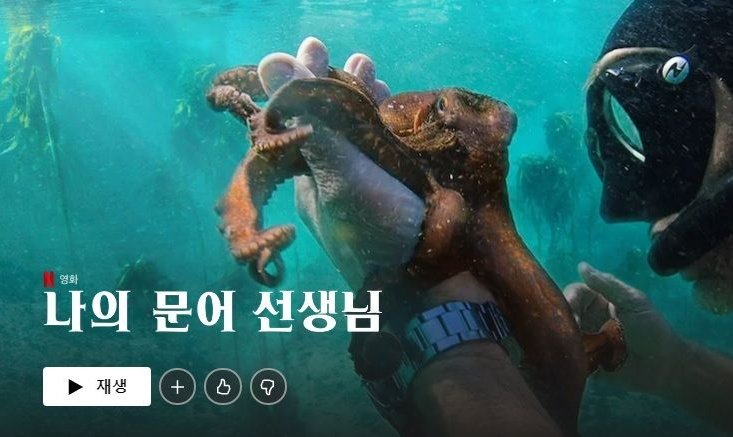 ossddsso's tweet photo. 스파이더맨
노웨이홈 후기 https://t.co/GM9tJoJTMe