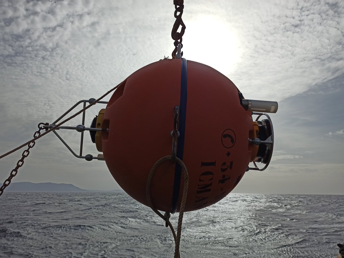 Cristobal Molina tweet media