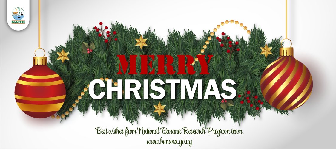 2017 2022 Christmas Holidays Usa Banana Program-Naro's Tweet - "For Us At @Narobanana, We Wish You A Merry  Christmas And Prosperous 2022. Enjoy The #Christmas Holidays!  #Merrychristmas2021 " - Trendsmap
