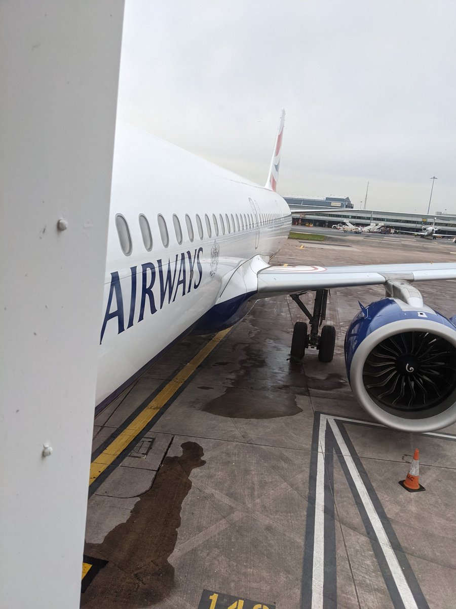 Emily Hornett ✈️ 🏳️‍⚧️ tweet media