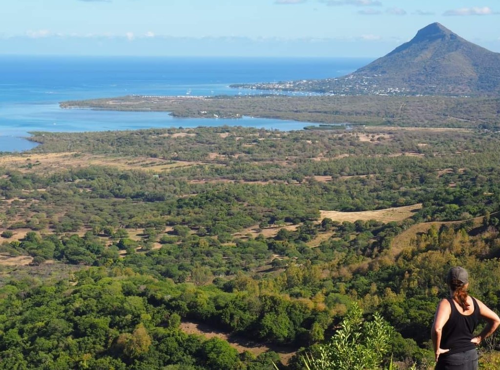 kuoni_edinburgh's tweet photo. It's time to make new memories, come and explore the world with us
#KuoniEdinburgh
#Mauritius https://t.co/4qdGgmpWuy