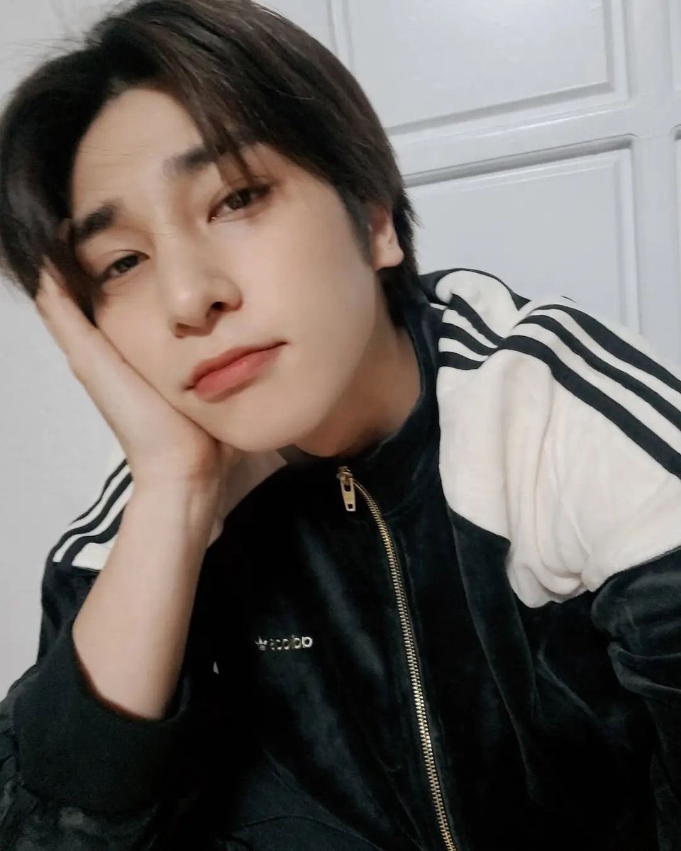 picsofhangyul's tweet image. 