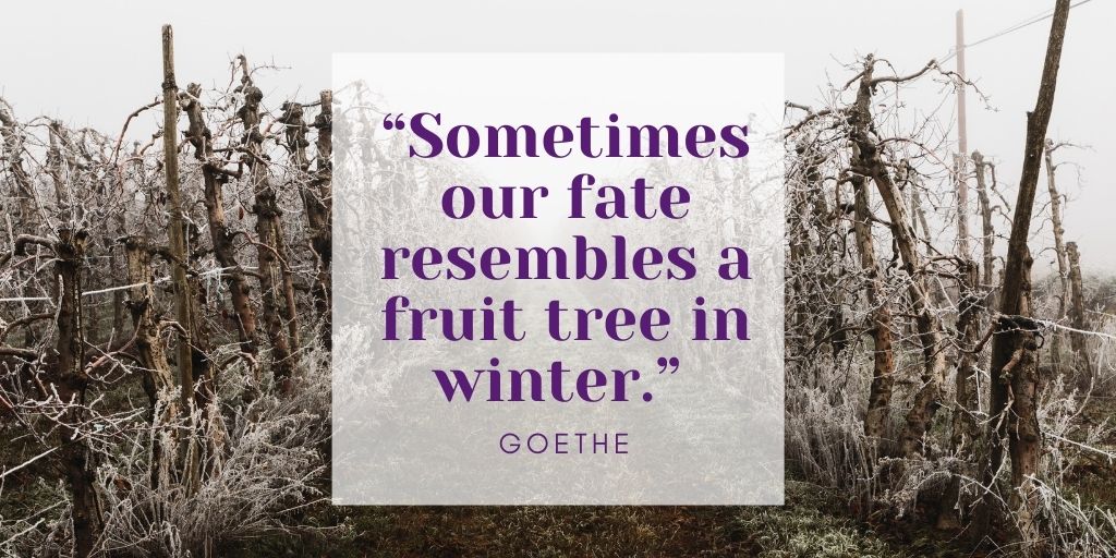 Happy solstice 😎 Wishing you a fruitful new year.