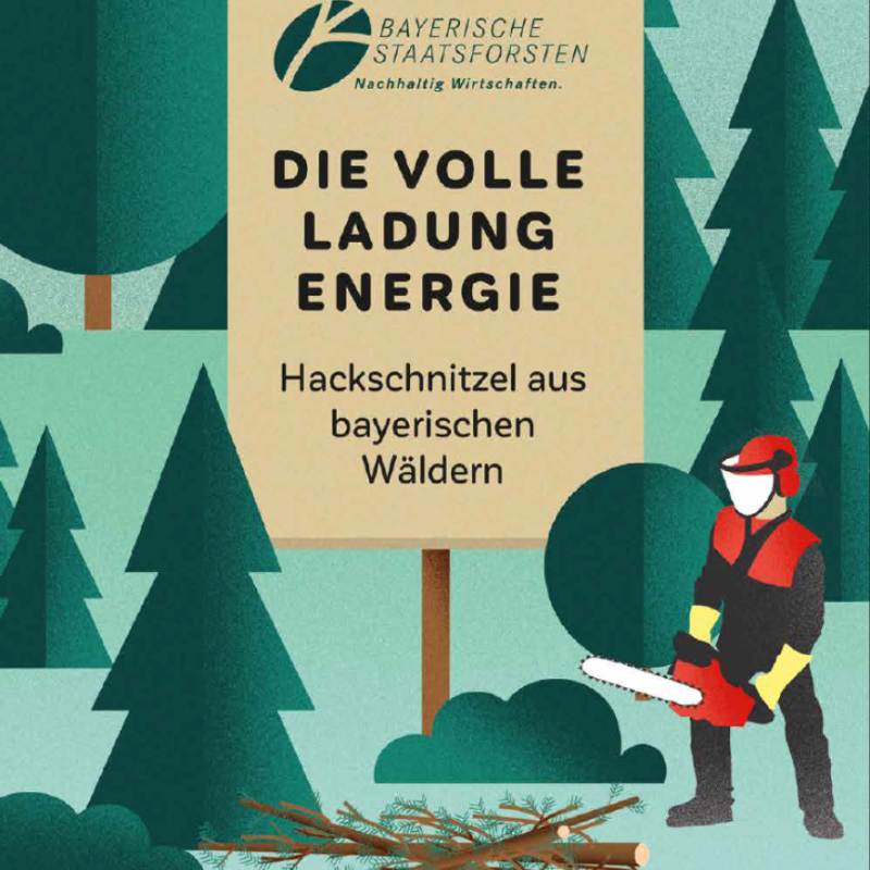 BaySF_Direkt's tweet photo. Hackschnitzel aus bayerischen Wäldern, die volle Ladung Energie! 
Die #BaySF produzieren jedes Jahr ca. 1,2 Mio Schüttraummeter Waldhackgut. Mit dieser Menge versorgen wir 36.000🏡  mit Wärme und sparen 250.000t CO2. 

 https://t.co/L6ppy8G6gv