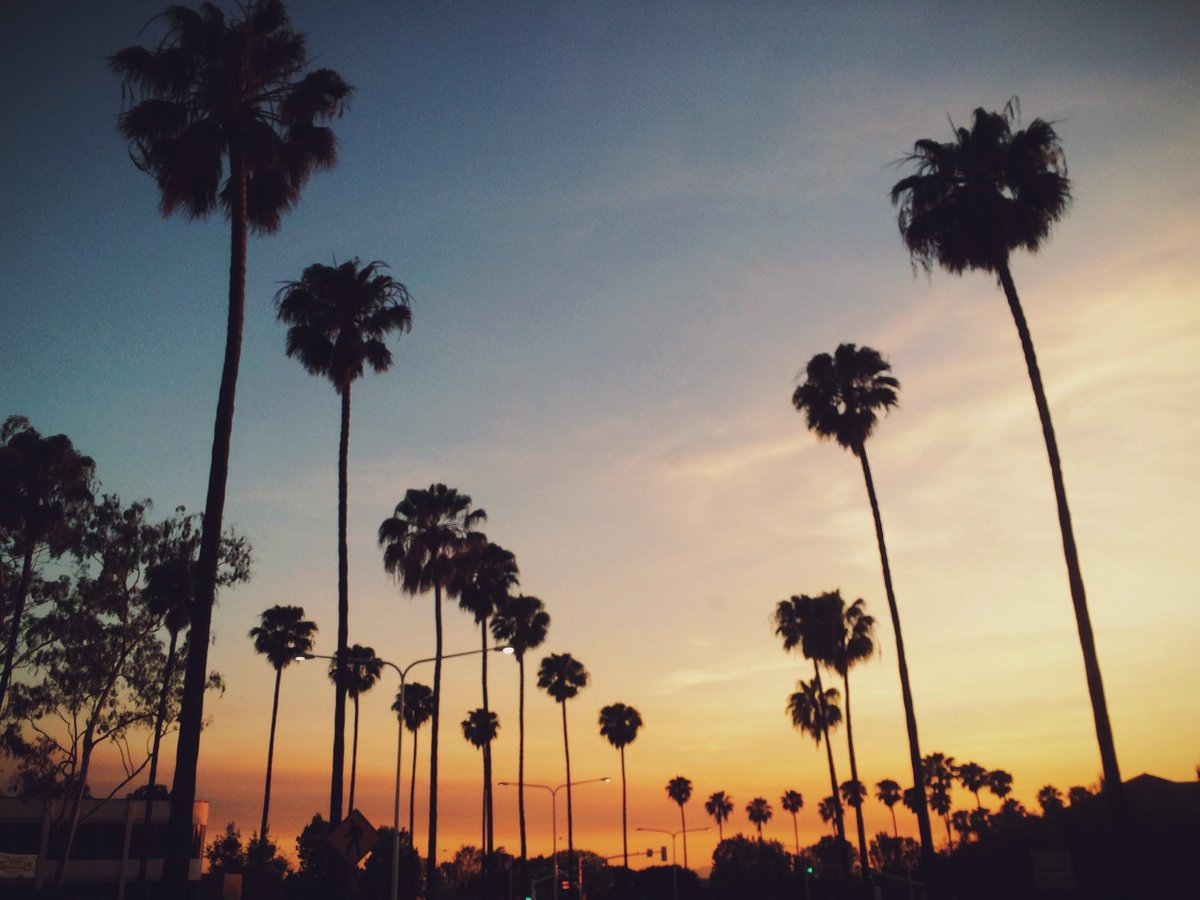 svTVLP's tweet photo. HOLIDAYS' PRESENT: Meet California experts and other talents while Stying Home. Blue Online program, from January to April. Apply by Dec 27: https://t.co/SqfhA5RHbP https://t.co/q1Tysd2orh
