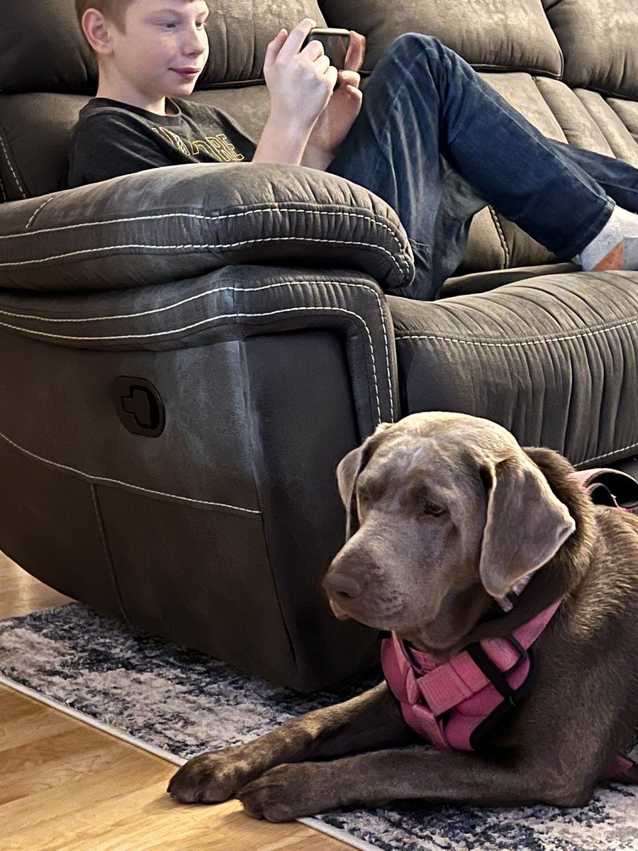 Just hanging out with my big brother before he heads off to school for the day! I like him, he plays with me every day after school. #ArtAdventCalendar #MerryChristmas2021 #labsoftwitter #dogsoftwitter #dog #buddies