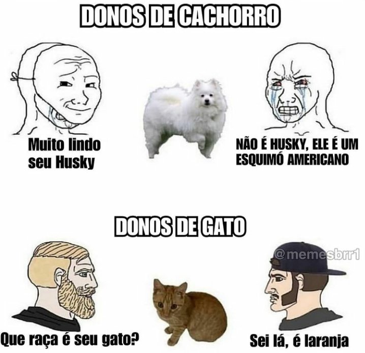 dnvessememe's tweet photo. https://t.co/6puJ8k3Zv7