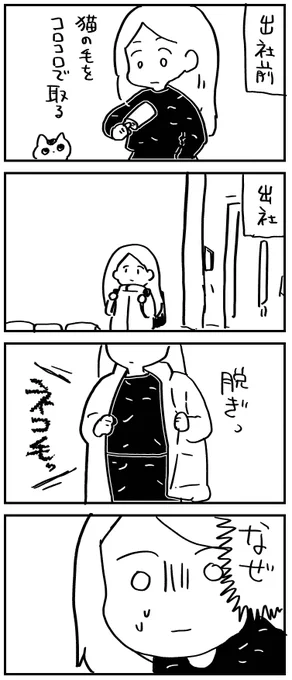 猫毛 