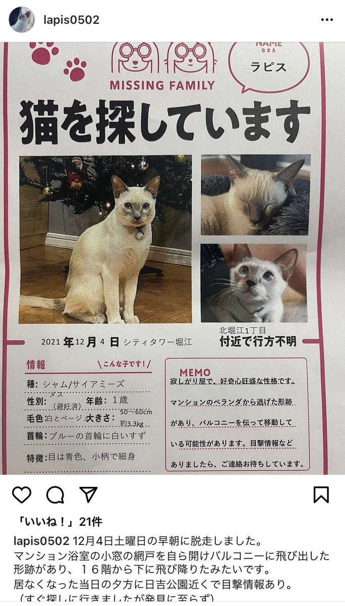 タグ 家出猫 の注目ツイート メガとんトラック タグ 家出猫 の注目ツイート メガとんトラック