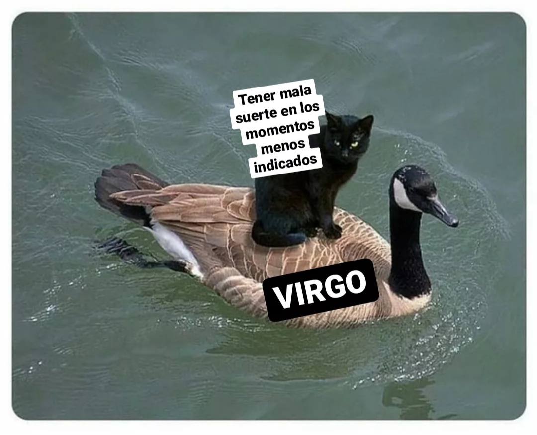 Sí somos ahora mismo 😅👍