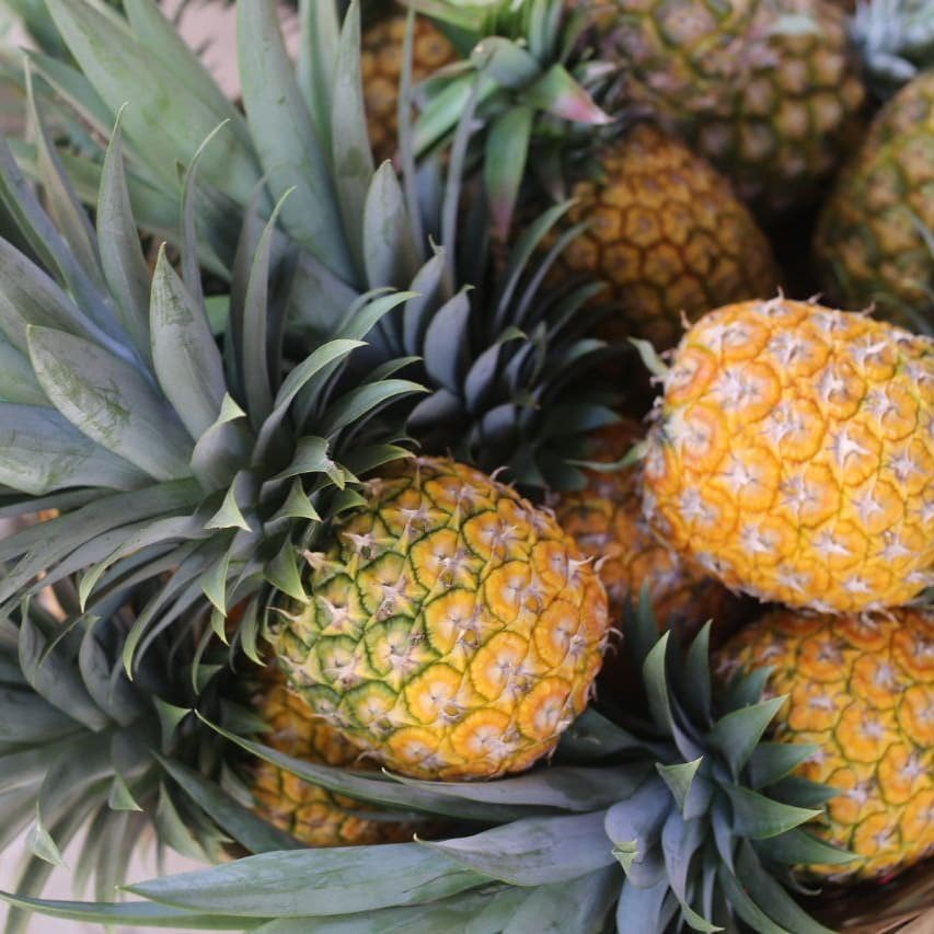 MinEmpren's tweet image. MEFCCA invita a realizar tus compras en el Mercadito Campesino. 👍🍍

Te esepramos en la segunda entrada las Colinas, Managua. 

#alimentacionsaludable  #verduras #consumilocal #Managua #Masaya