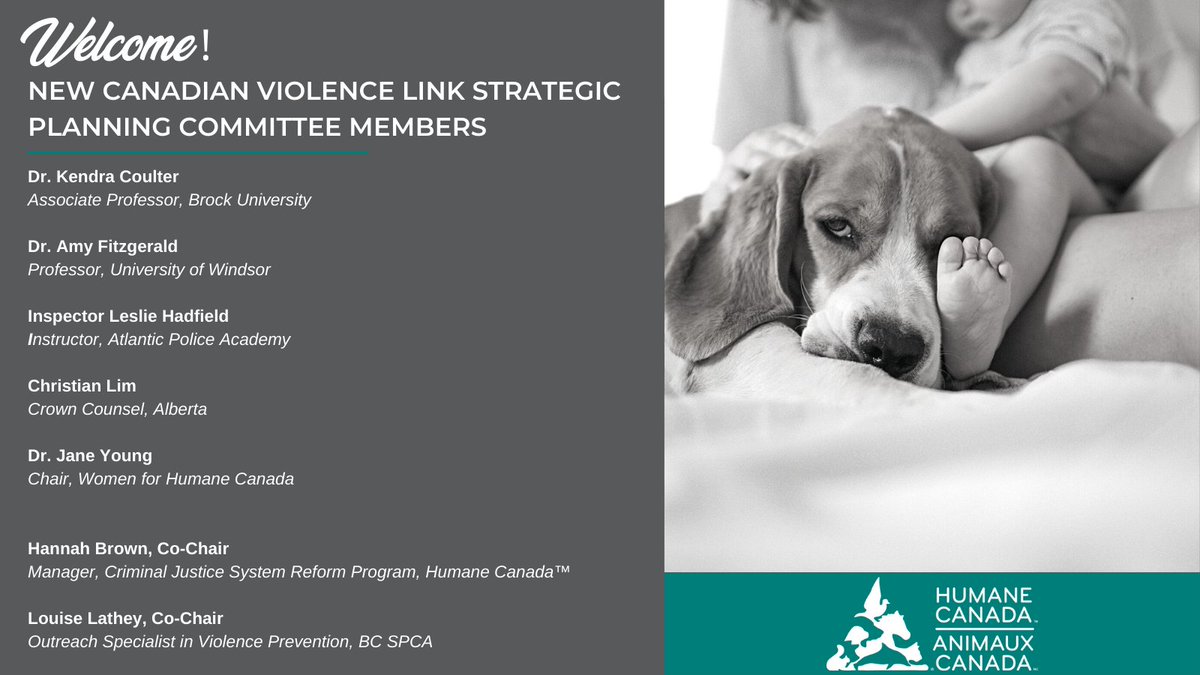 DrKendraCoulter's tweet photo. Just launched: the new Canadian Violence Link Strategic Planning Committee. Looking forward to working with this impressive team to lead change that will help protect animals and people from abuse. #humanecanada #thelink #defendinganimals #dv #ipv #violencelink #canfem #cdnpoli https://t.co/sE8ilyWtE7