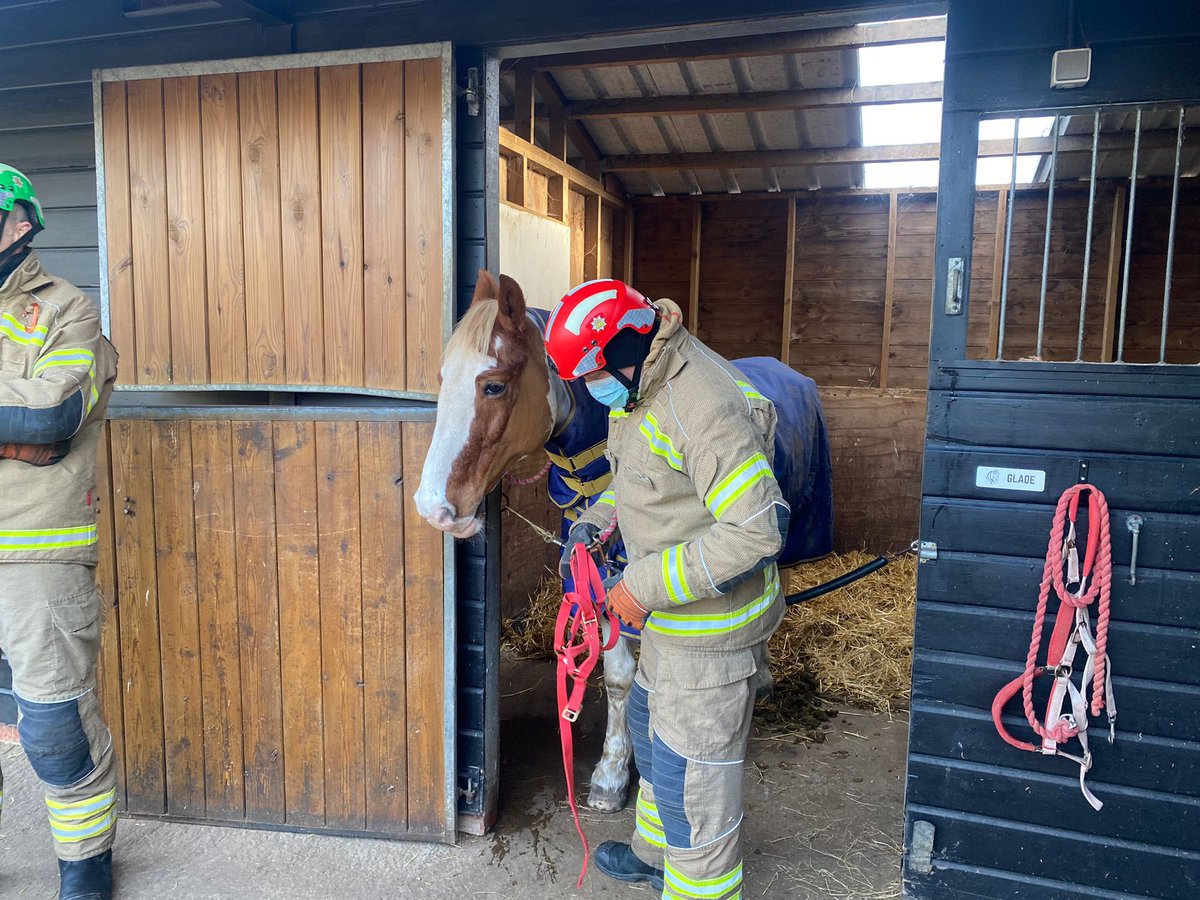 SFRSTraining's tweet photo. Great Refresher on Animal Rescue for a number of @SuffolkFire delegates 👍🏼 Huge thanks to Suffolk Rural Otley Campus and Klub Equestrian 👏🏼👏🏼👏🏼

Merry Christmas from all at Wattisham Training Centre as we sign off for the year 🧑🏼‍🎄🧑🏾‍🎄🤶🏼 https://t.co/X88oT4O4W1