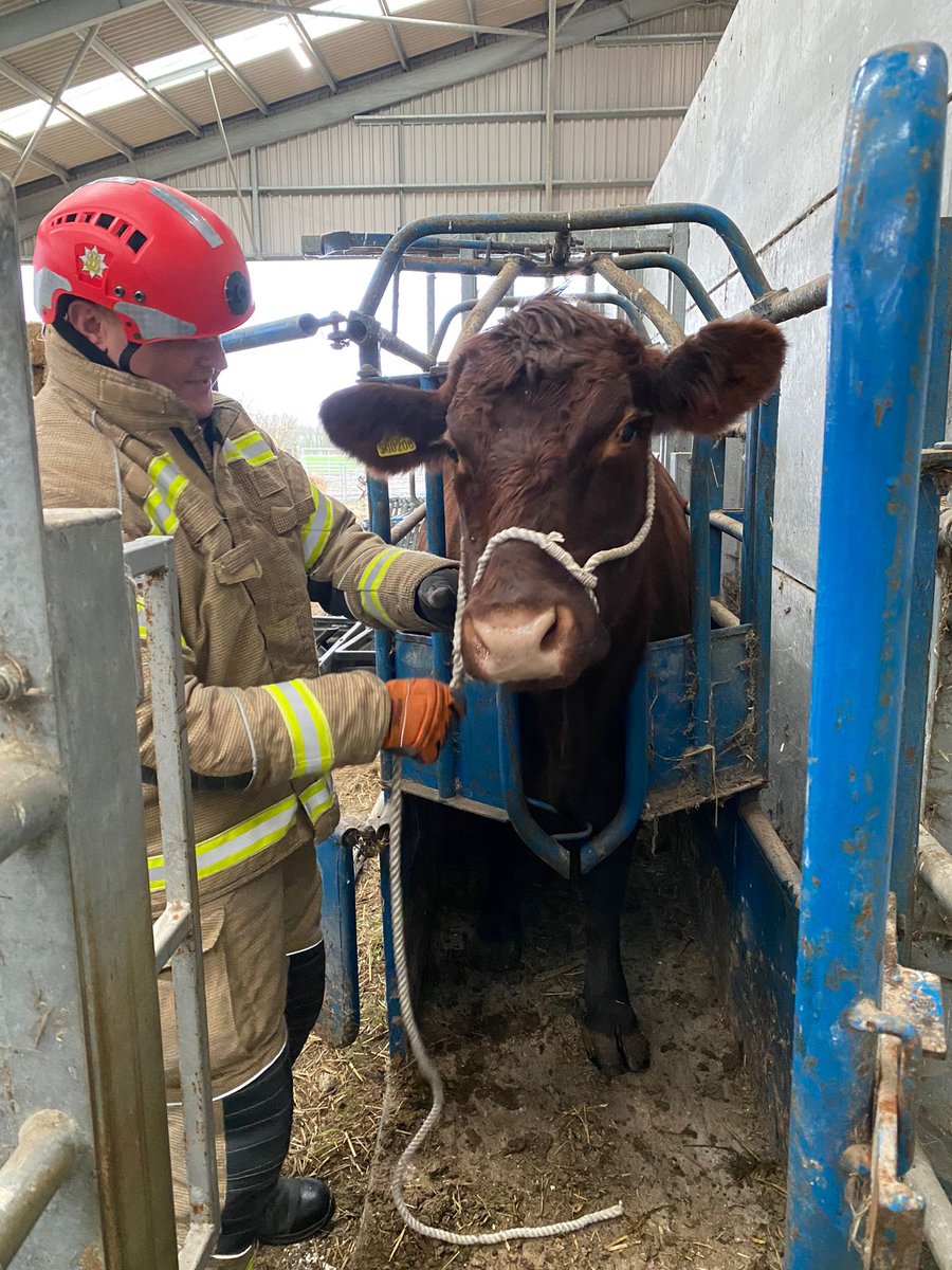 SFRSTraining's tweet photo. Great Refresher on Animal Rescue for a number of @SuffolkFire delegates 👍🏼 Huge thanks to Suffolk Rural Otley Campus and Klub Equestrian 👏🏼👏🏼👏🏼

Merry Christmas from all at Wattisham Training Centre as we sign off for the year 🧑🏼‍🎄🧑🏾‍🎄🤶🏼 https://t.co/X88oT4O4W1