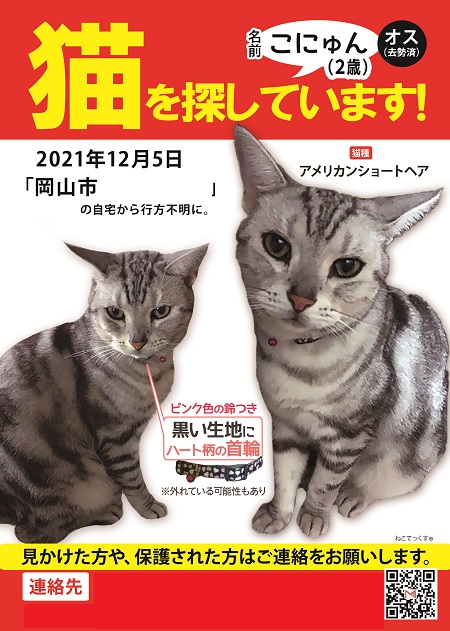ねこてっくす 迷子猫 迷子鳥 迷子犬 迷子ペット チラシ制作 迷子猫 こにゅんちゃんを探しています 12 5 岡山県で迷子に 2歳のアメリカンショートヘアの男の子 ピンクのハート模様の黒色の首輪 迷子猫 迷い猫 飼い猫 グレー アメショー 灰色