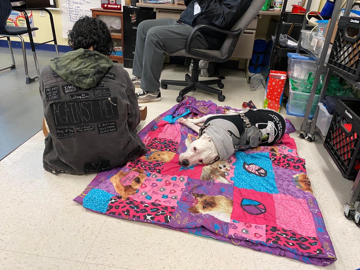 unitycharter's tweet photo. Drop Everything and Read went to the dogs today! Therapy dogs, Celery and Vinnie, along with our very our math dog, Josie, sat with our students as we read our "New to You" books together. #unitywolves #morrisplainsbrightandbeautifultherapydogs @unitycharter @NJPCSA @DrJB__ https://t.co/Bfz2X3ZCqm