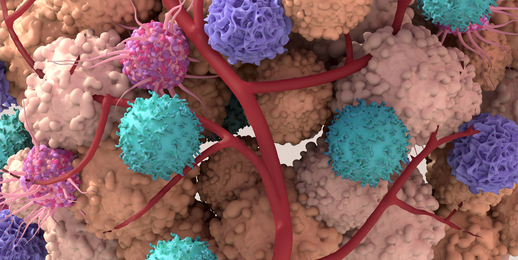 Cancer Discovery tweet media