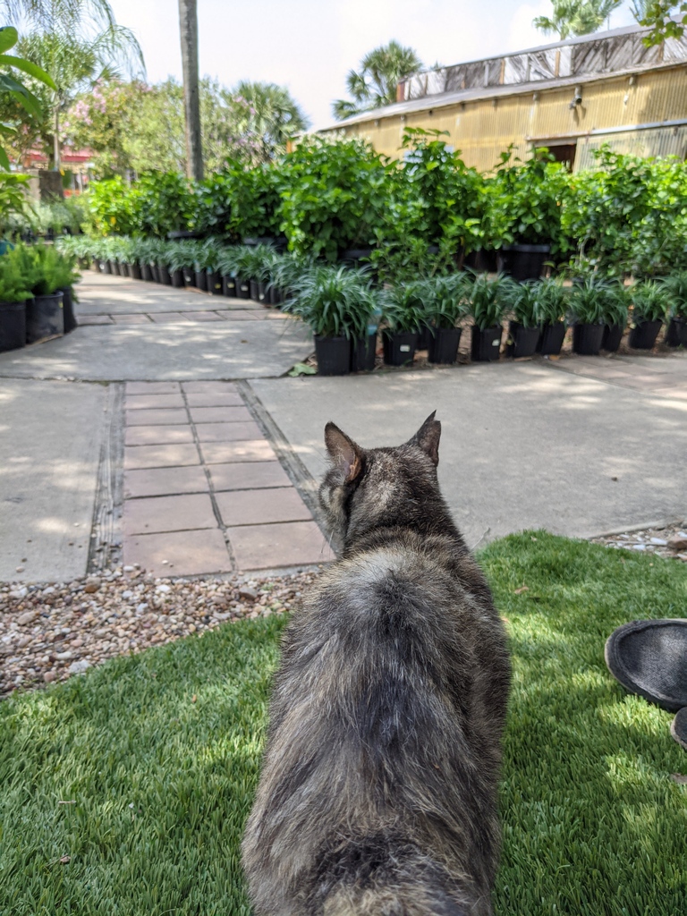 Come take one last glimpse before we close up shop for the holidays! 🎄 We close at 5:00 PM today and will be back open on January 3, 2022.

What can you save on? See the specials: tomsthumbnursery.com