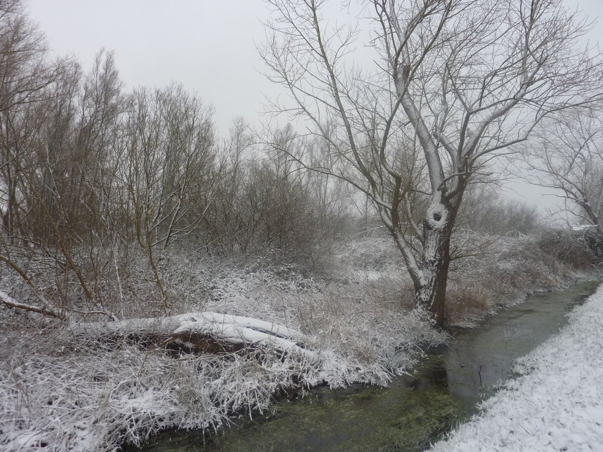 canondale01's tweet photo. Invierno antiguo y lento
quien camino hacia tí
lo hace ya sin tristeza.
🖊️Julio Llamazares
https://t.co/OxyA4lBXfI
George Winston "December" https://t.co/pFHtZ6AUdW