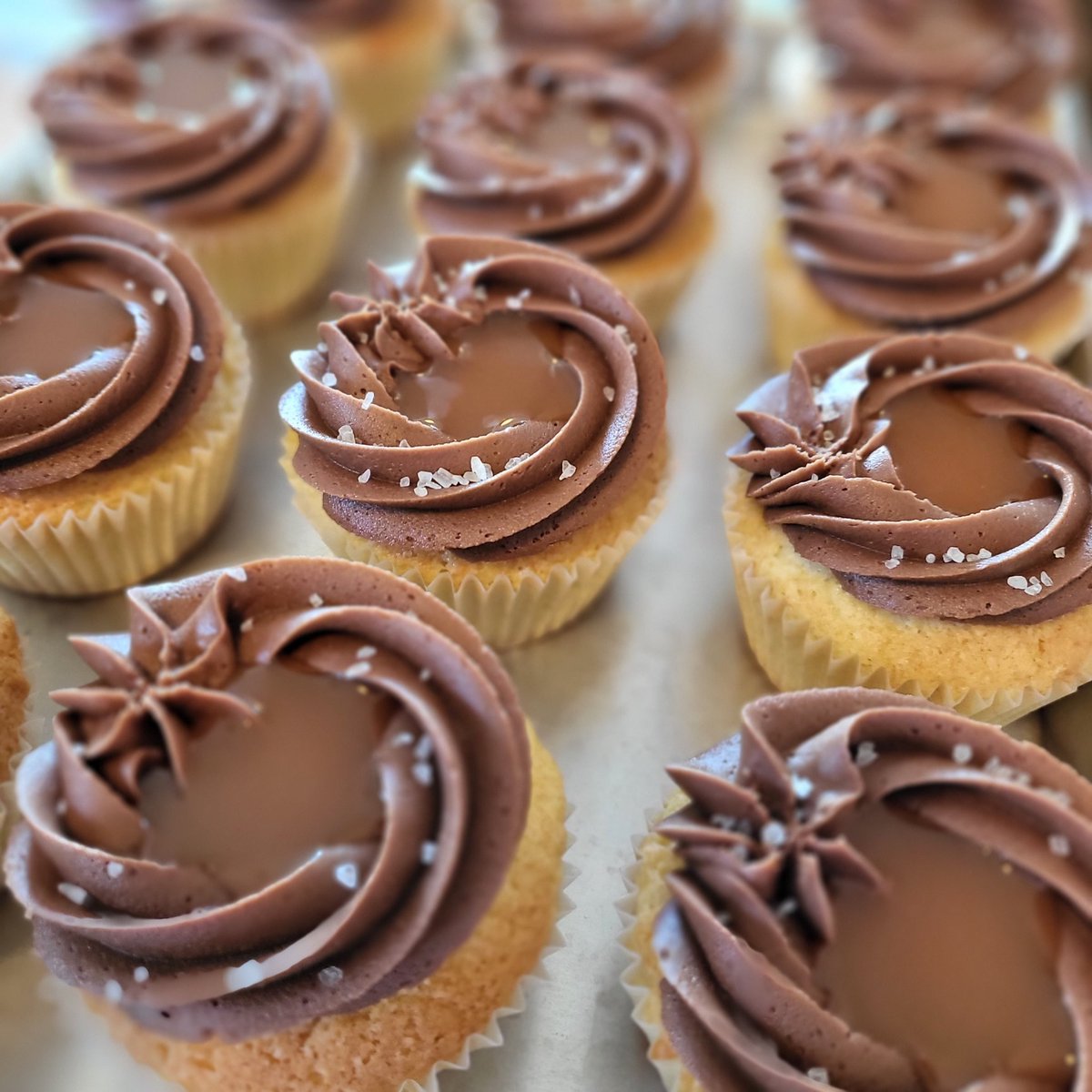 a little dramatic cupcake photo for your timeline