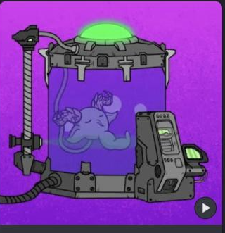 Sufi NFT 🐾 tweet media