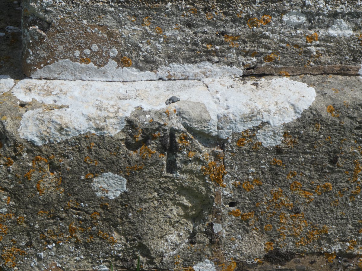 moonraker_the's tweet image. 425th @OrdnanceSurvey #OSBenchmark a rivet benchmark on St Matthew's Church, Rushall (Grid Ref: SU12855584) #WiltshireWalks @BBenchmarks @BenchmarkBaggi1