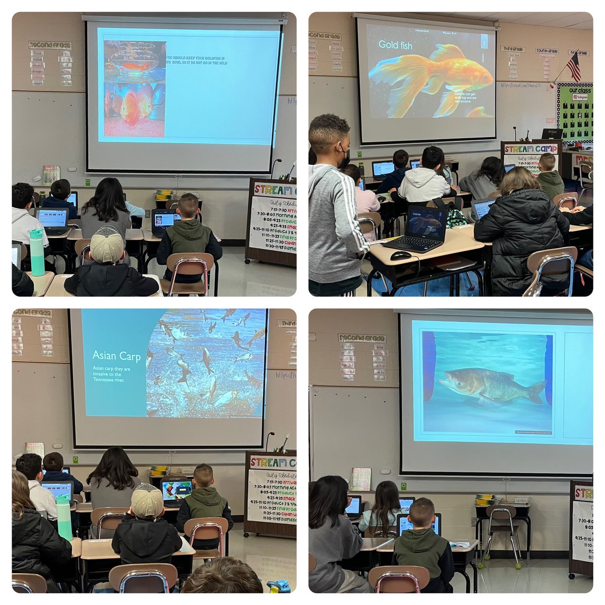 BCE 3-5 had so much fun today building toys! Some of these are quite impressive too! <a href="/BCE_Bucks/">Brown's Chapel Elem</a> #RCSSTREAM2021