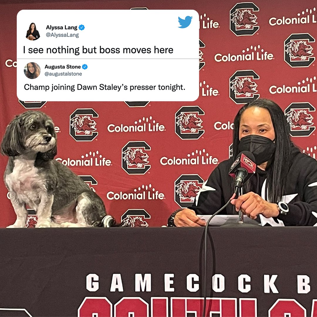 espnW's tweet photo. The admiration in Champ's eyes 😍 

Same Champ, same. 

(via @augustalstone, @AlyssaLang) https://t.co/ww0jWU3Uan