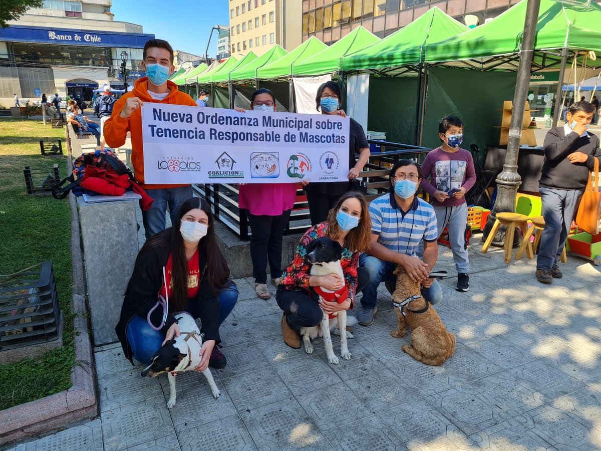 ADPrensa's tweet photo. Colmevet Araucanía valora nueva ordenanza de tenencia responsable de mascotas en la comuna de Temuco https://t.co/Vdqp6Gfimh https://t.co/pzcIzF61pr