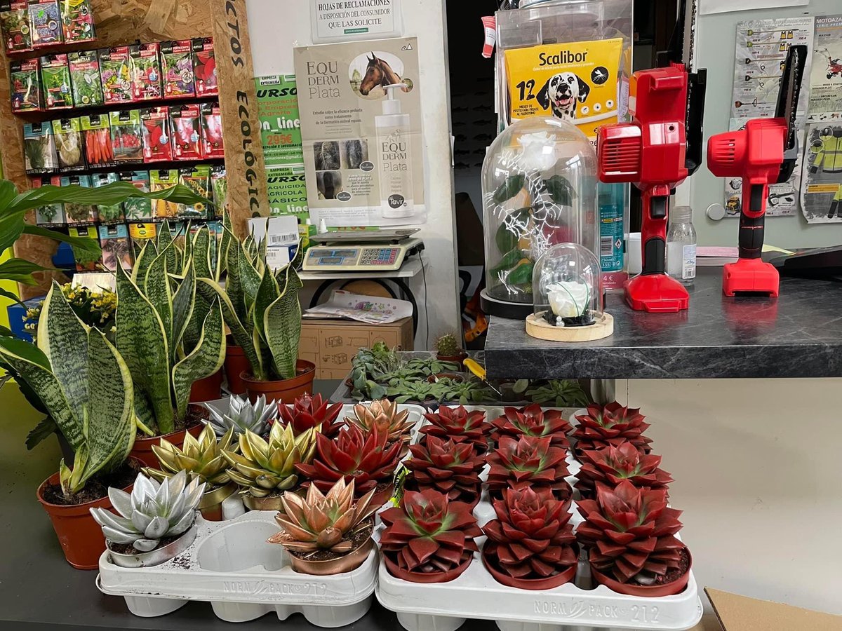 🪅 ¡YA ES NAVIDAD EN AGROGARDEN!

💡 Os iluminamos un poquito, dándoos algunas ideas para pedir a los Reyes en este final de año.

📲 #NavidadEnAgrogarden #ViveLaJardinería