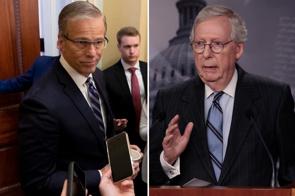 nypost's tweet photo. McConnell urges GOP Sen. Thune to run again amid retirement rumors https://t.co/mNEDpZpUaq https://t.co/TCnzCwMGZ2
