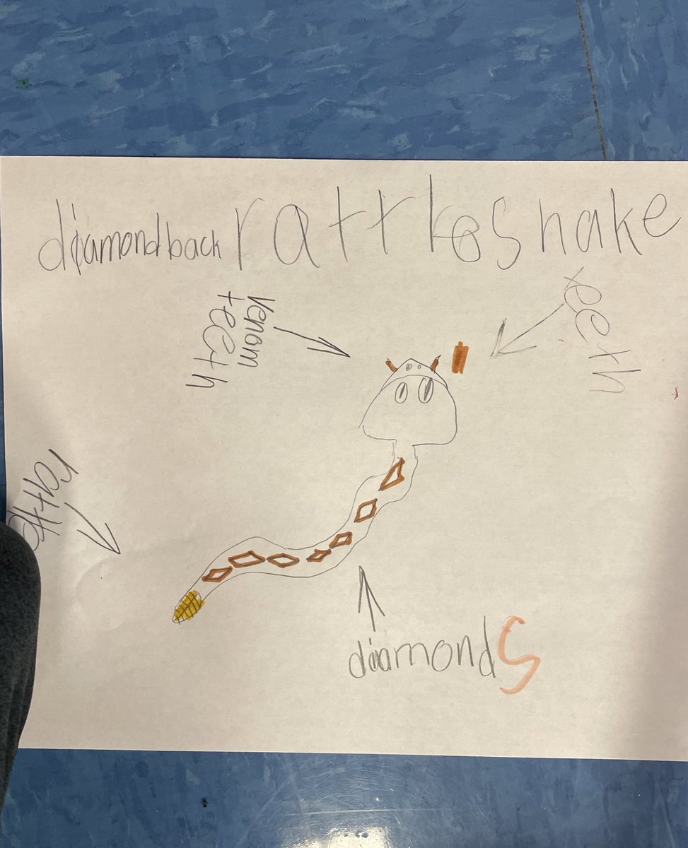MrsPulkBCE's tweet photo. Day 3 of STREAM camp was a success for this k-2 bunch! We learned about adaptations and had a blast discovering facts about different animals! @BCE_Bucks #RCSSTREAM2021 https://t.co/jet3Ruoyo9