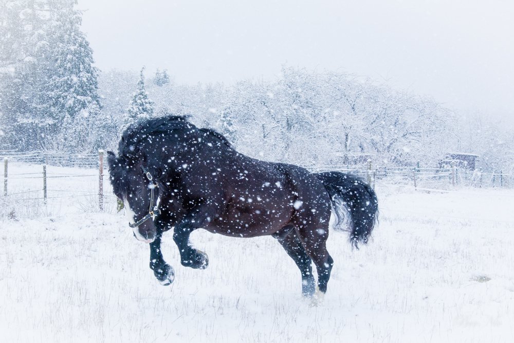 JottWehDeh ⚜️ tweet media