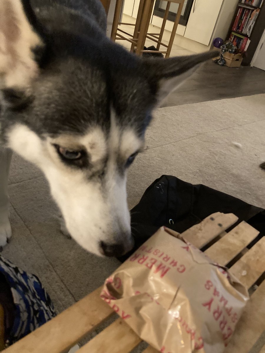 Wellbeingwarri2's tweet photo. Last nights elf’s helping with the wrapping and security of the staff gifts #thinkforensicAFS #itsbeginningtolookalotlikechristmas https://t.co/BzMCUXeGQ0