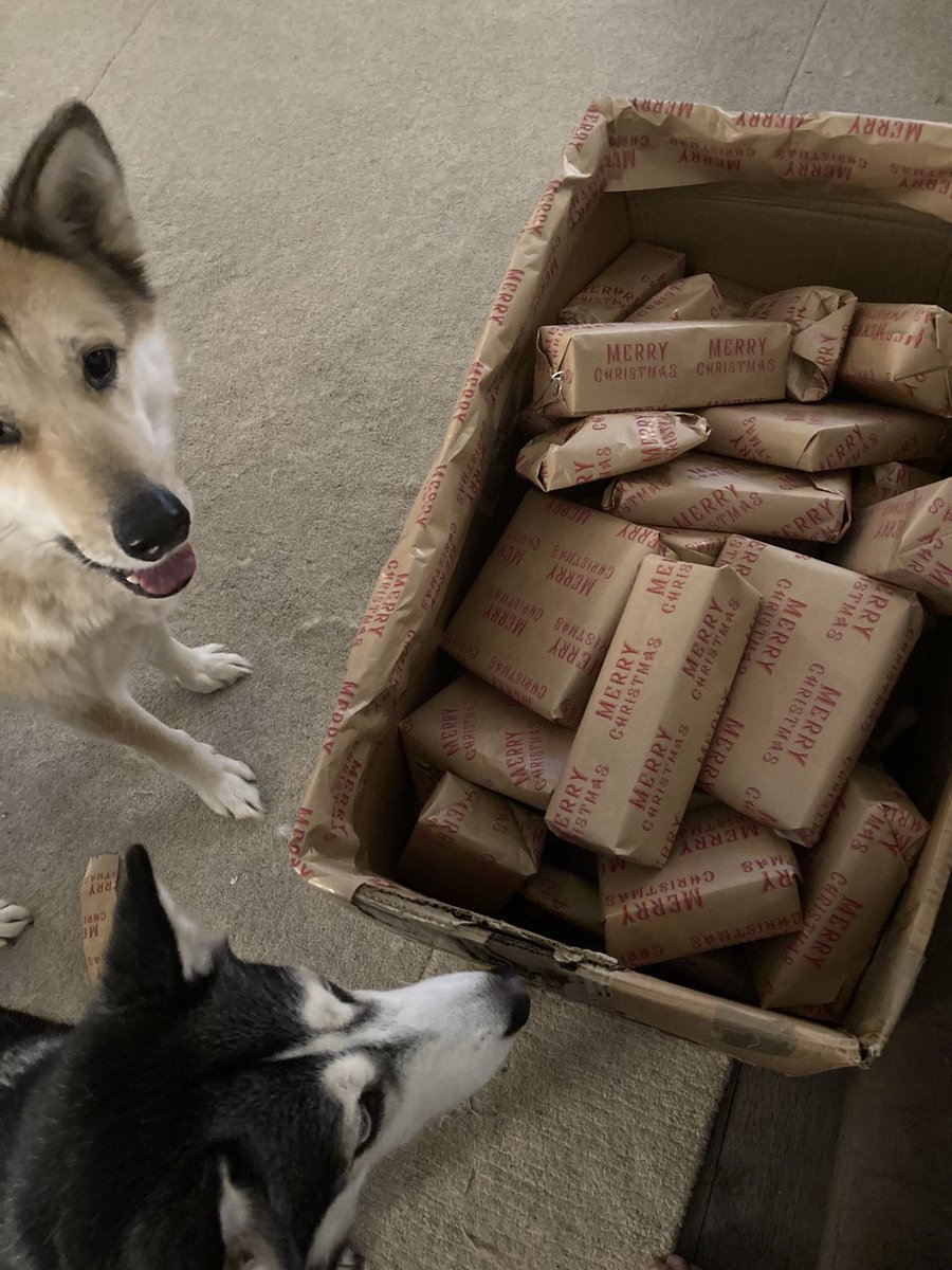 Wellbeingwarri2's tweet photo. Last nights elf’s helping with the wrapping and security of the staff gifts #thinkforensicAFS #itsbeginningtolookalotlikechristmas https://t.co/BzMCUXeGQ0
