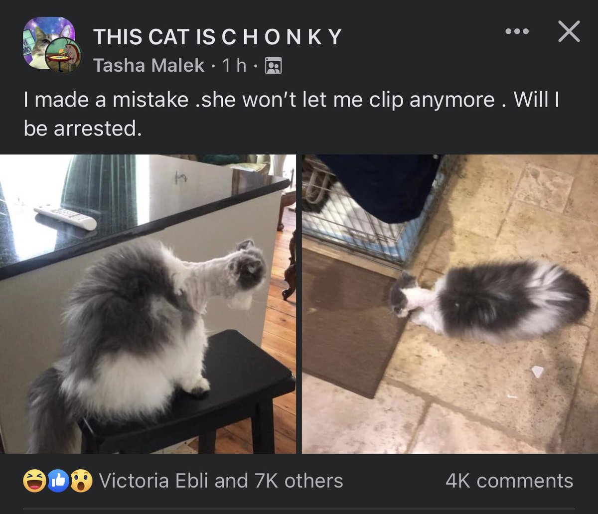 darthlux's tweet image. i am in tears lmaooo 😭