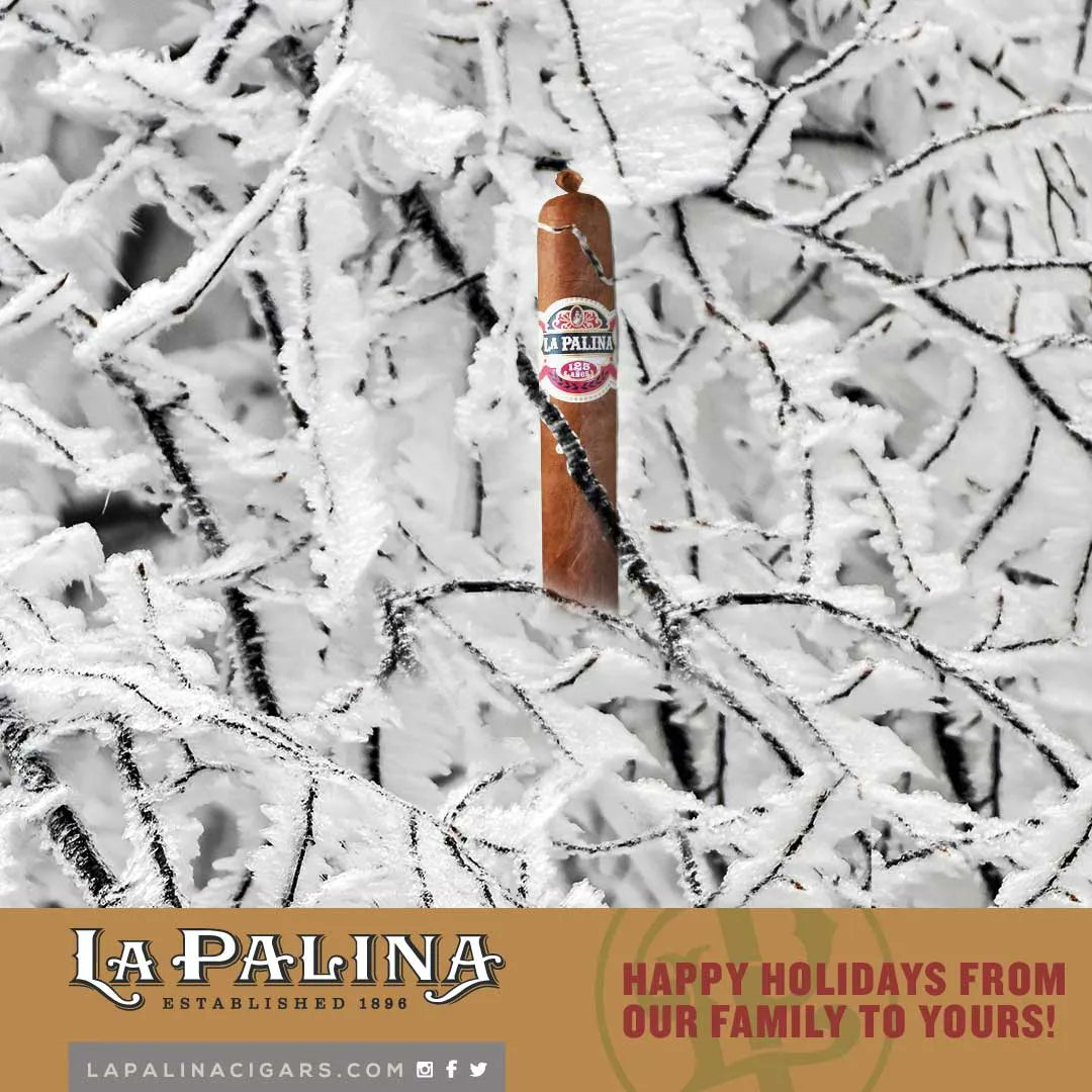 This should warm you up! Happy Holidays from the LP family #christmas #photography #explore #travel #christmastree #travelphotography #december #merrychristmas