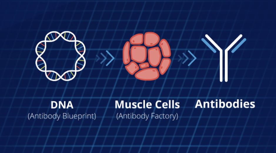 Come join our #RenBio team
Seeking highly motivated &amp; goal-oriented Research Associate to be part of developing nucleic acid-based platform technology for next-gen treatments for oncology, inflammatory, and infectious disease. bit.ly/3msdLIS
#HiringNow #jobopening #NYC
