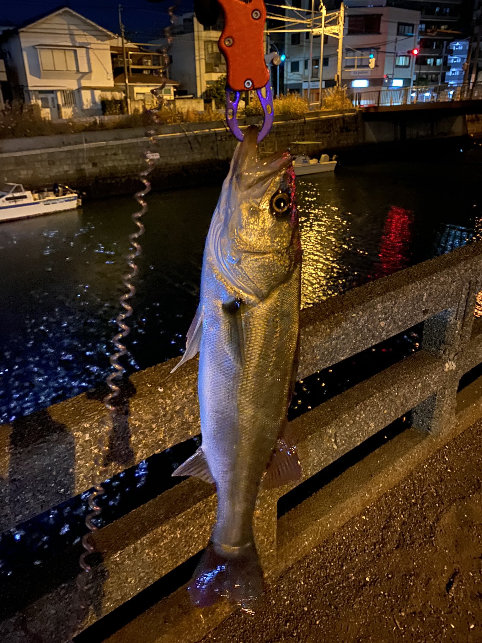 堀割川の釣り人 シーバス 43センチ 堀割川 滝頭バス停付近 今日は当たりが少ない中ようやくかかったチヌをバラしてボウズの危機だったため 最後に滝頭バス停へ 何とか釣れたが高所からのランディングがダメダメでよく取れたなと言う感じでした 横浜 堀割川の釣り人 シーバス 43センチ 堀割川 滝頭バス停付近 今日は当たりが少ない中ようやくかかったチヌをバラしてボウズの危機だったため 最後に滝頭バス停へ 何とか釣れたが高所からのランディングがダメダメでよく取れたなと言う感じでした 横浜
