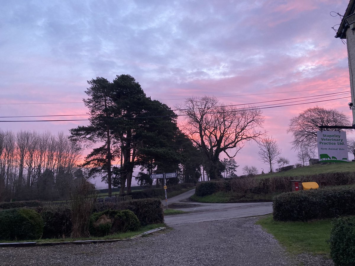 Ali_Harvey668's tweet photo. Beautiful winter sky this morning @ResponsePS #wintersky #shepardswarning https://t.co/lpXJJa9GH5