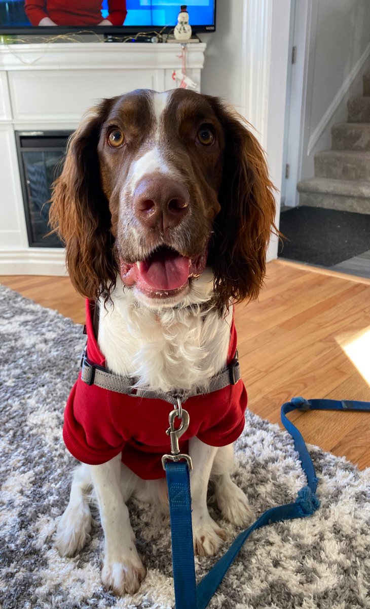 Annie Bergeron-Oliver tweet media